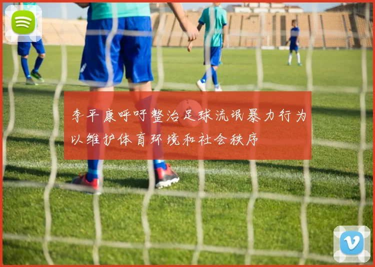 李平康呼吁整治足球流氓暴力行为以维护体育环境和社会秩序
