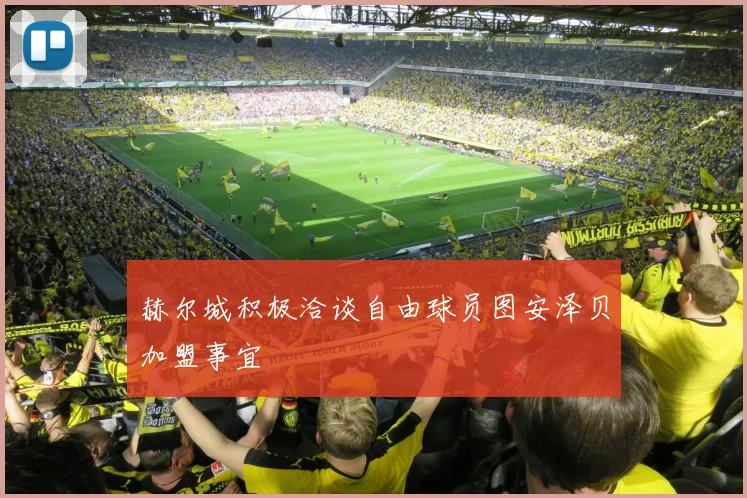 赫尔城积极洽谈自由球员图安泽贝加盟事宜